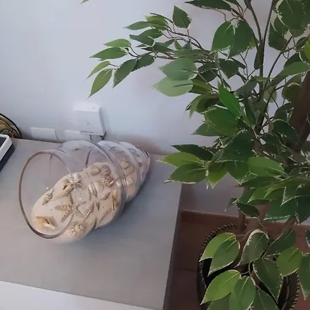 Appartamento Cozy In